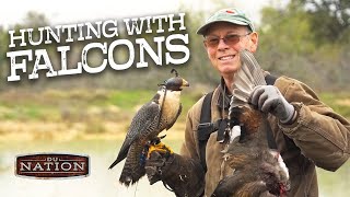 Ultimate Falconry: Duck Hunting in Texas | DU Nation