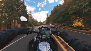 BMW F750 + QUICKSHIFTER | Fall Colors in the Mountains | Pure Sound [4K]