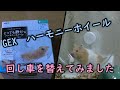 【ハムスター】★GEX ハーモニーホイール★ティコちゃんの回し車を替えてみた＃９５