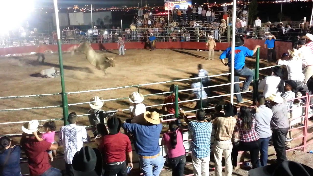 Jaripeo en Las Vegas Nevada 9/8/13 YouTube