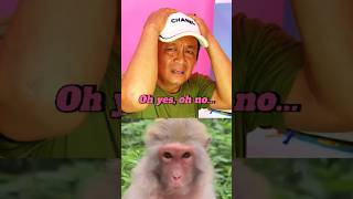 Download Mp3 Bahasa Inggris. Hiburan komedi lucu #lucu #funny #memengakakkocak #comedy #humor #shorts #funnymemes Gudang lagu Download Mp3 Bahasa Inggris. Hiburan komedi lucu #lucu #funny #memengakakkocak #comedy #humor #shorts #funnymemes