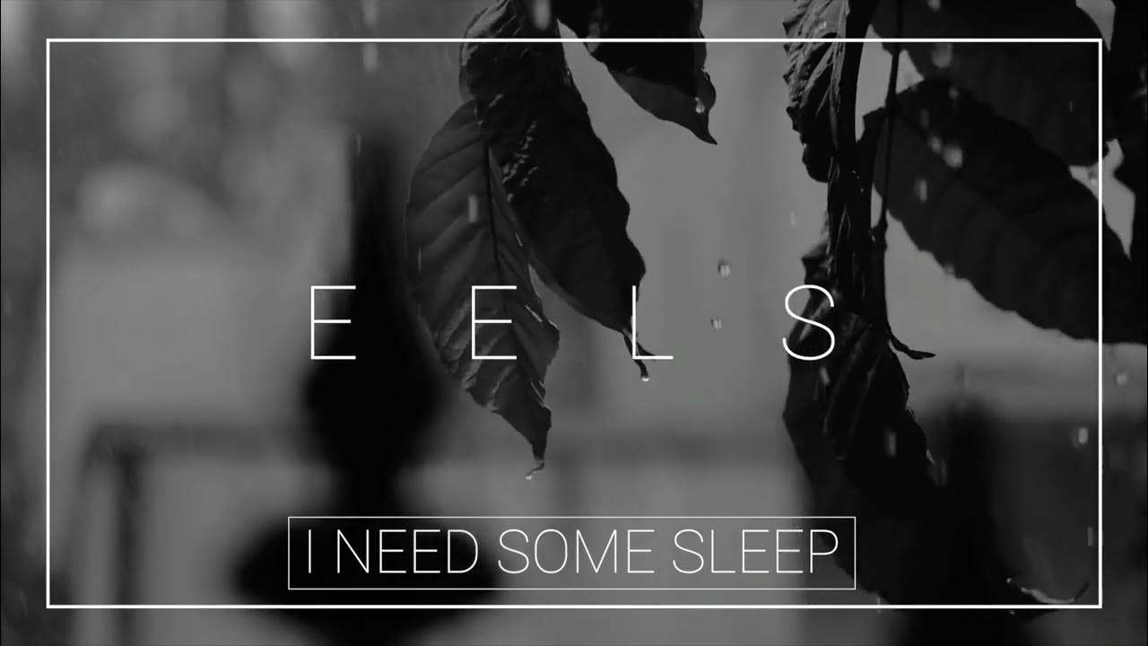 EELS I Need Some Sleep 1 HOUR RAIN YouTube eels-i-need-some-sleep-1-hour-rain-youtube