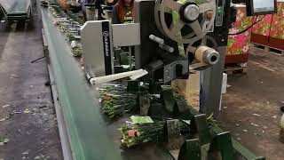 Boeketten Labelen Op Een Automatische Manier - Codipack Group