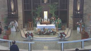 Daily 7:30 a.m. Mass