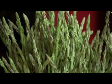 hqdefault | Espárragos Verdes
