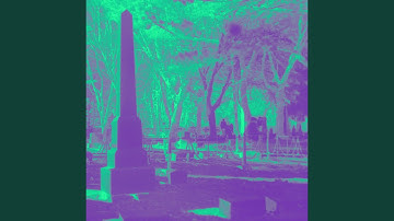 The Last Known Transmission of the Unknown Civilization Buried Under Omnipoint Wetlands