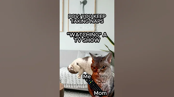 CAT MEMES 🐱 YOU KEEP TAKING NAPS #relatable #cat #funny #family #shorts