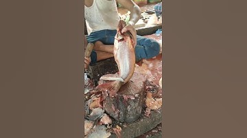 Amazing Pangas Fish Skinning By Expert Cutter #skills #shorts #fishcutting