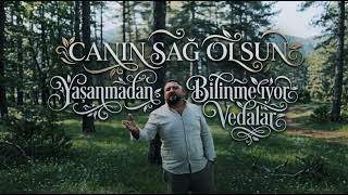 Batuhan Kırgız - Yaşanmadan Bilinmiyor Vedalar (Tiktok Trap Remix) Canın Sağ Olsun