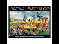 Black powder 2  ouverture du starter set waterloo