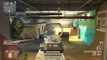Best FAL OSW Class Setup BO2