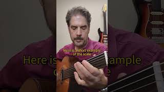 The Hungarian minor scale on the fretless guitar
