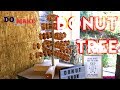 Donut Tree Display Build, Easy DIY