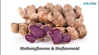 VCAFE Premium Brazilian Arabica Coffee Kopi Halia Hitam VOLTEN INTERNATIONAL 【BM】