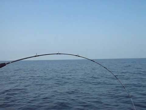 Jigging in Acajutla, El Salvador Equipo MARINSA / ...