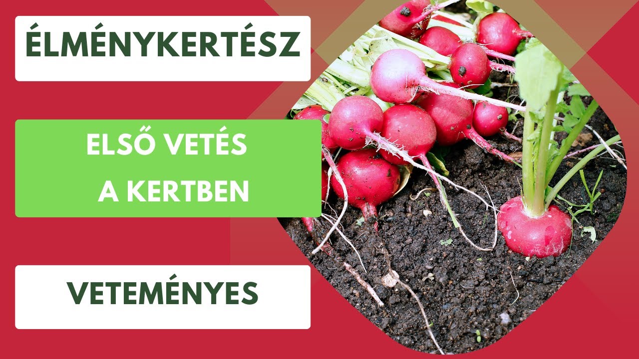 Itt az ideje az első vetésnek a kertben🌱