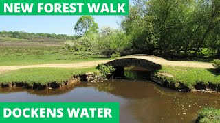 NEW FOREST WALK ALONG THE DOCKENS WATER (NEW FOREST NATIONAL PARK) (4K)