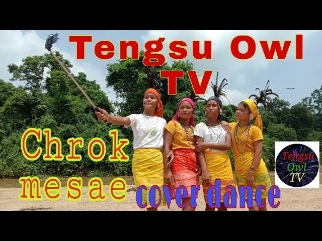Chrok mesae cover dance||Tengsu Owl TV class=