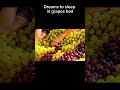 He was dreaming to sleep in mony bdgod bed grapes bed orange bed #AIbed #sleepangel #sleepy