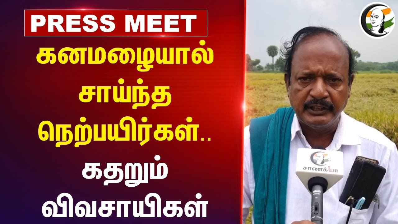 கனமழையால் சாய்ந்த நெற்பயிர்கள்.. | Nagai Farmer | Heavy Rain