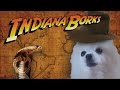 Indiana Borks