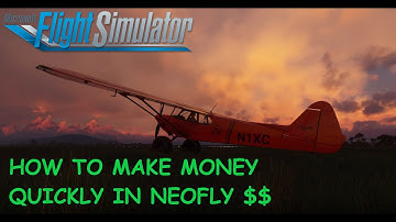 Neofly Tips - Warehouse - MSFS 2020