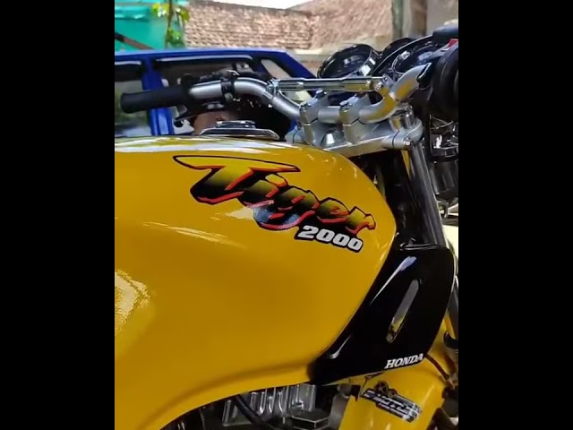 Story wa Tiger kuning yg lagi viral 2021 || HONDA GANK class=