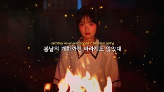 바삐 죽어가는 나의 집🔥 한로로 (HANRORO) - ㅈㅣㅂ (H O M E) (가사/lyrics)