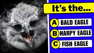 The ULTIMATE World Eagles Knowledge Test: 30 HARDEST Animal Facts You MUST Know! 🤯🦅✅