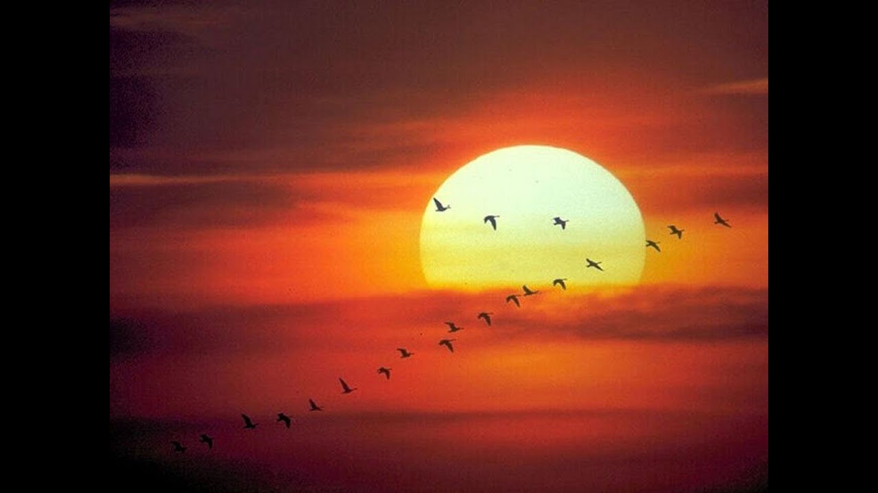 Bajo el mismo sol YouTube Bajo el mismo sol YouTube