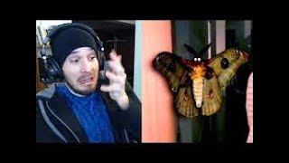 THIS MEME ACTUALLY SCARED ME! MOTH LAMP MEMES COMPILATION Reaction! (Charmx reupload)