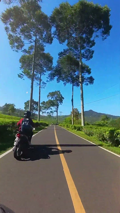 Ciwidey Emang Sejuk #ciwidey #bandung #ciwideybandung #shorts