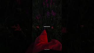 People You Know - Selena Gomez Lyrics Aesthetic Whatsapp Status English Songs Sped Up