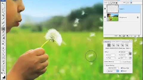 13 Using the Clone Source Palette