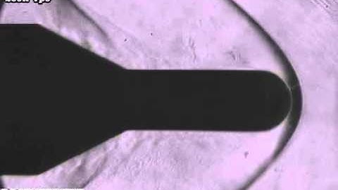 Supersonic Wind Tunnel Test