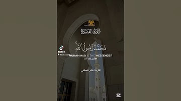محمد رسول الله و الذين معه سورة الفتح بصوت القارئ ماهر المعيقلي 🎙️ #سورة_الفتح #ماهر_المعيقلي