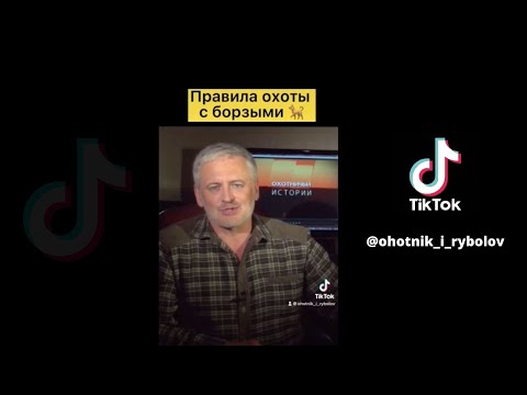 Правила охоты с борзым // Охотник и рыболов