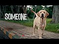 777 Charlie Whatsapp Status Video | Rakshit Shetty | Dog Lovers Status Video |
