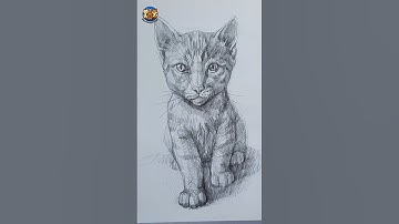 How to Draw a Cute Kitten 🐱 | Easy Step-by-Step Drawing for Kids and Beginners