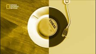 فاصل قديم قناة ناشيونال جيوغرافيك أبوظبي ناااددرر 2023-2024 من تقليد قناة الجزيرة الوثائقية عام 2017