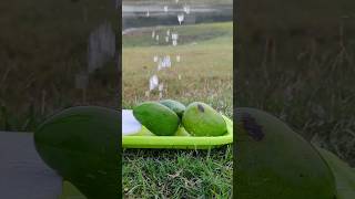 #food #recipe #tasty #cooking #bgm #streetfood