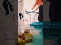 Como limpar fogão cooktop engordurado?Como deixar um armário de cozinha bem organizado?#cozinhafofa