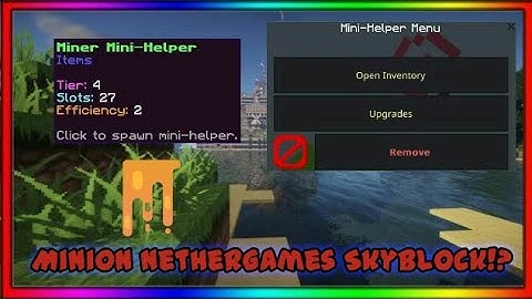 I Got Scam by Skyblock NetherGames Minion?!