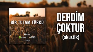 Ertuğrul Oytun - Derdim Çoktur Hangisine Yanayım (Akustik) Resimi