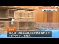 「すべて山でとり飼っていた」野鳥のメジロ15羽を違法飼育 男を鳥獣保護法違反容疑で逮捕 高知(動物愛誤)(自然破壊)(アニマルホーダー)(鳥インフルエンザ)(クリプトコックス症)(オウム病)