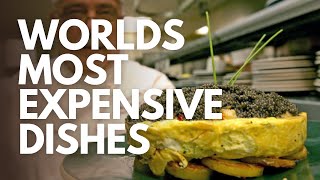 World's Most Expensive Dishes (One is $14,500!!)