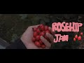 In the Kitchen | Homemade Rosehip Jam