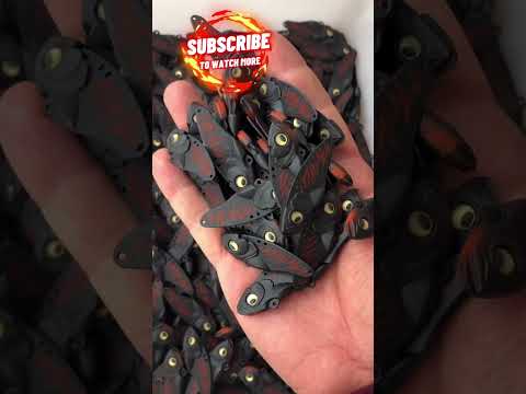 Black Vib bait,you