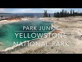 Yellowstone - Playtime in Yellowstone