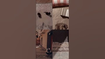 قصة سيدنا إبراهيم عليه السلام قران الكريم #قران_كريم #المصحف #راحة_نفسية